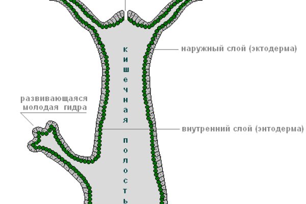 Зеркало мега без тор