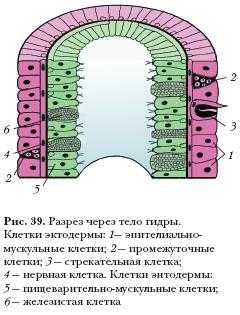 Омг закрыта